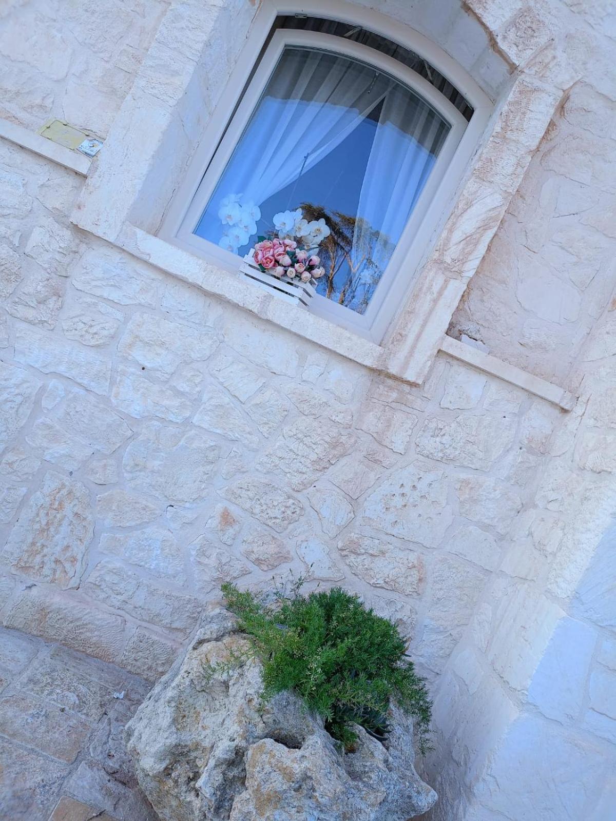 Villa Brachychiton Ostuni Exterior foto